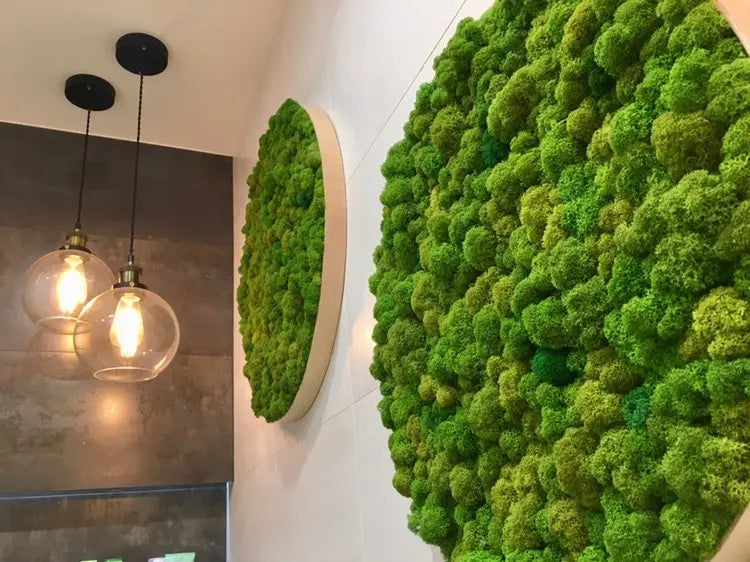 Preserved moss wall panels