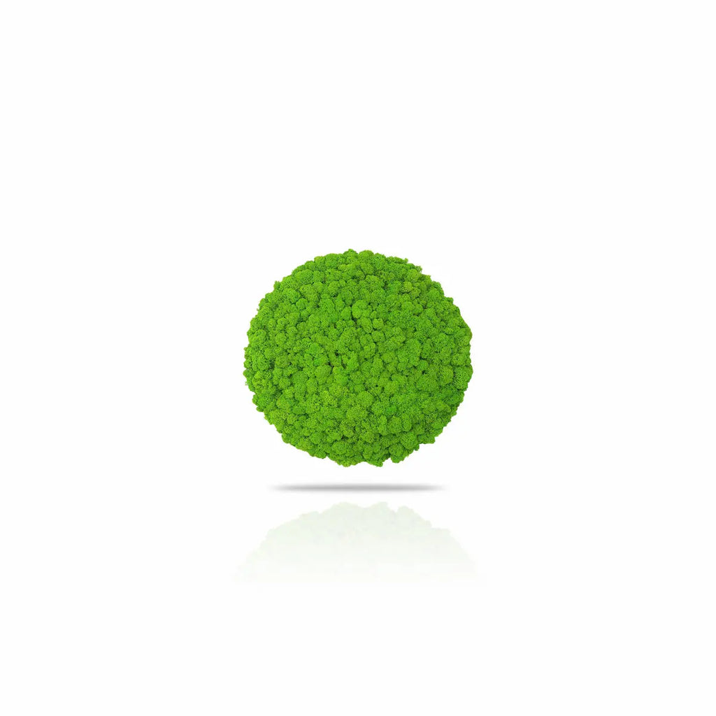 Preserved Reindeer Moss Wall Panel - Round - Frameless