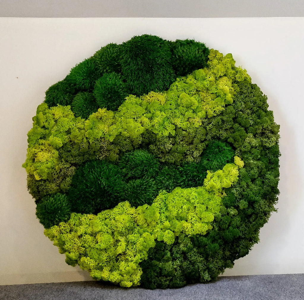 Preserved Reindeer Moss Wall Panel - Round - Frameless