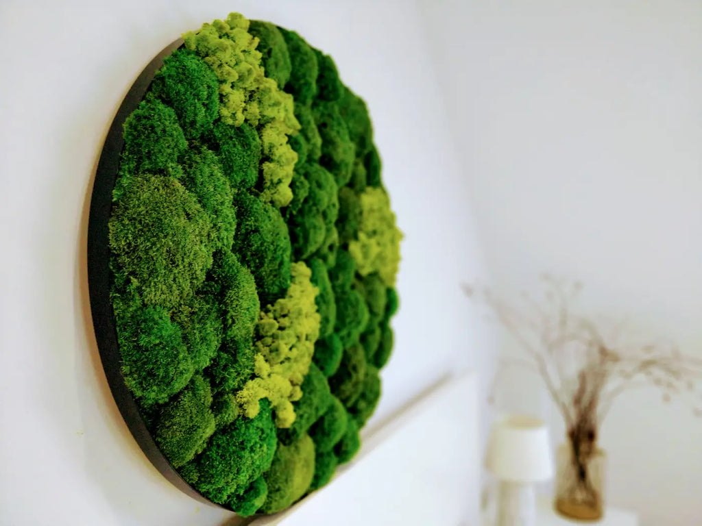 Preserved Reindeer Moss Wall Panel - Round - Frameless