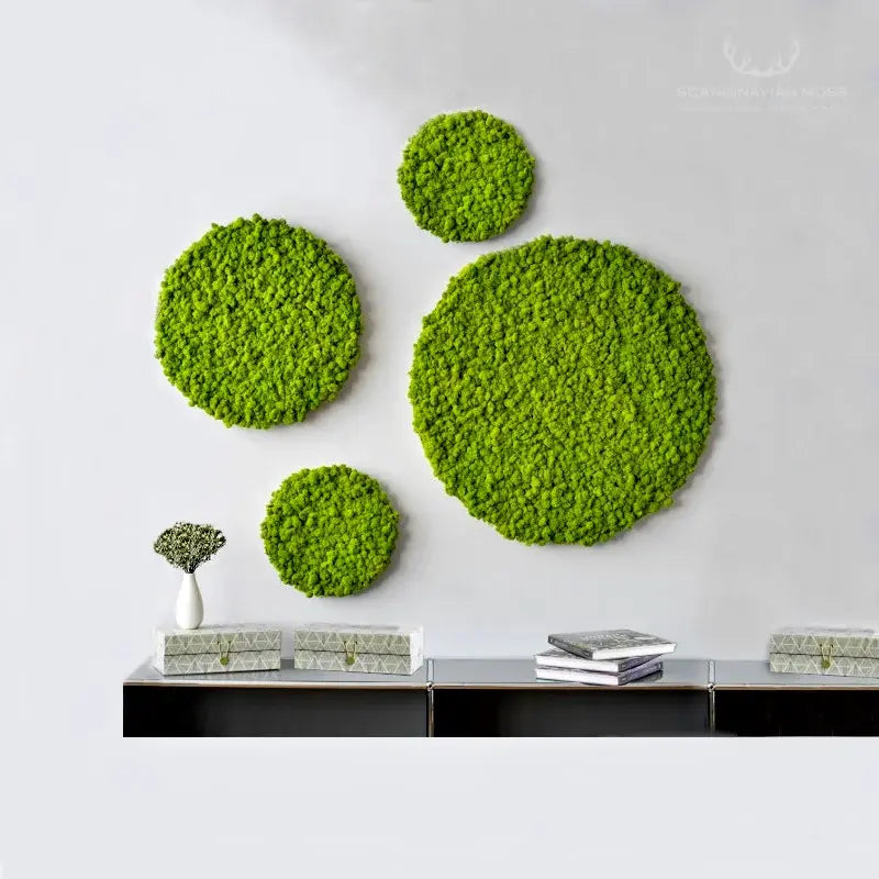 Moss wall panels - support