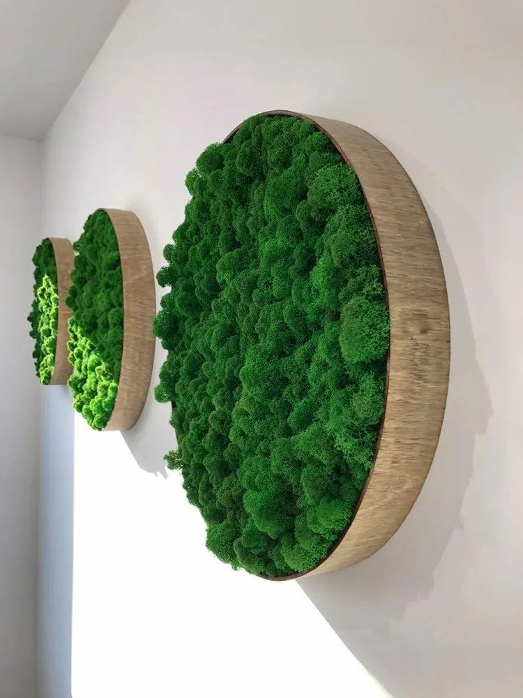 Preserved Reindeer Moss Wall Panel - Round - Frameless